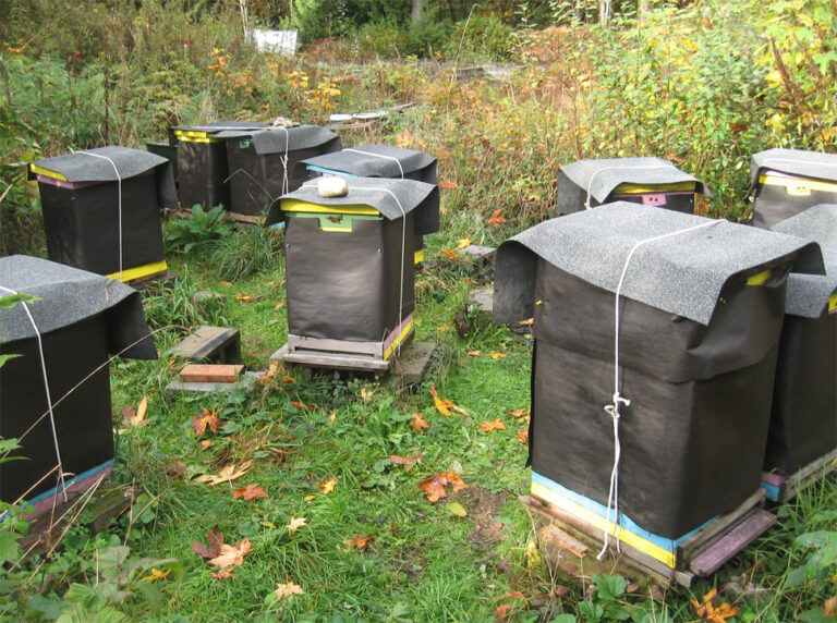 Winter Bee Hive Wraps Lappes Bee Supply - A Detailed Guide!